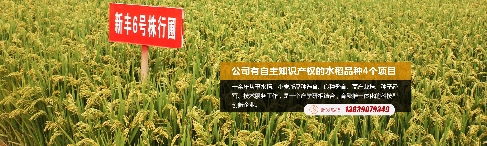 河南丰源种子有限公司
